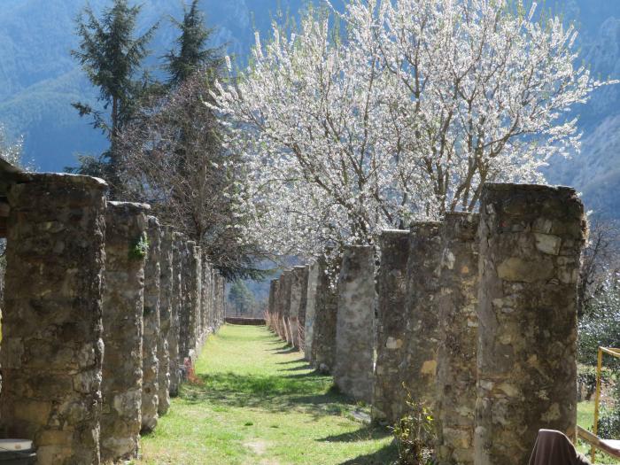 Allée des Grimaldi, Villars-sur-Var. Cliché : Thomassin, Philippe, Roudoule, écomusée en terre gavotte