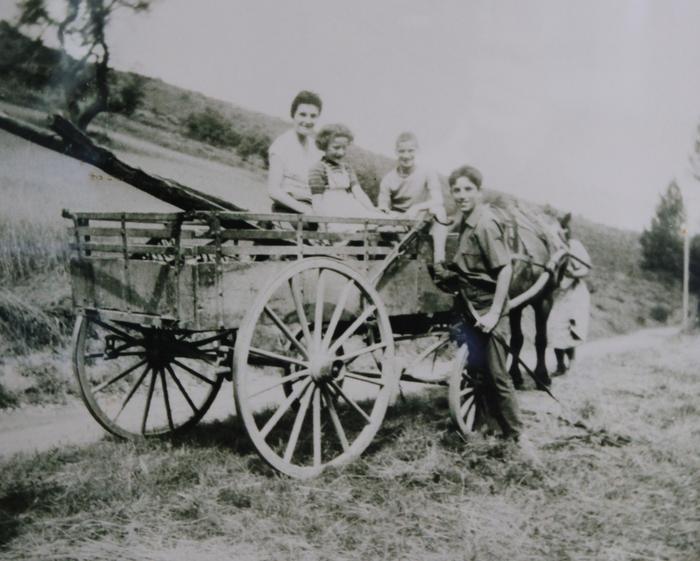 [Une balade en charrette, Saint-Léger, 2/3 du 20e siècle.]