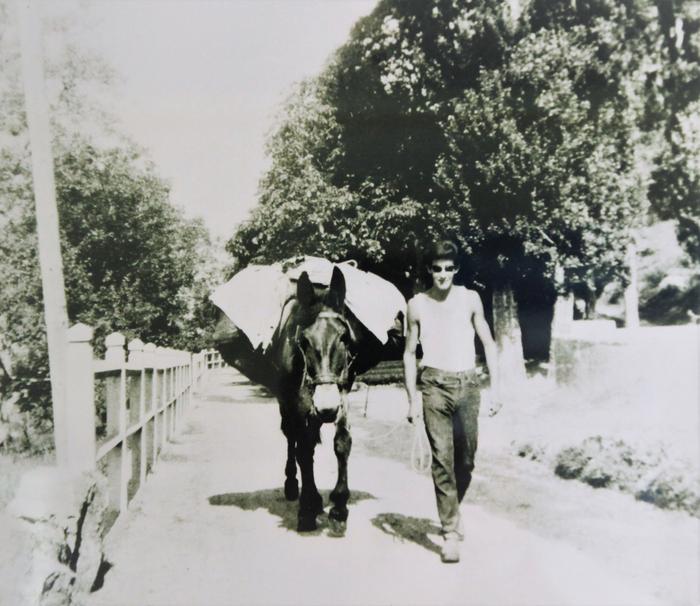 [Homme avec des lunettes de soleil, conduit dans le village de Saint-Léger, une mule avec des "insari"]