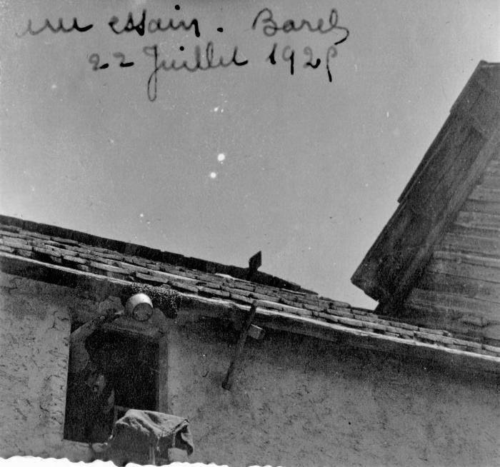 [Capture d'un essaim, hameau des Laves, Barels, 22 juillet 1925.