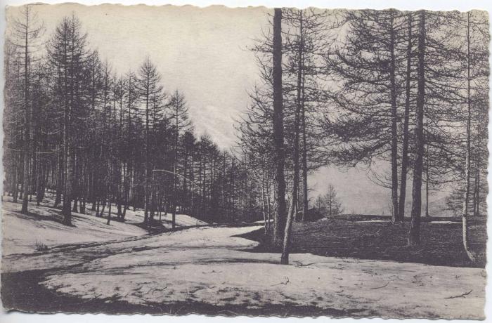 Route des Alpes - le plateau de Beuil (1700m) centre de sports d'hiver