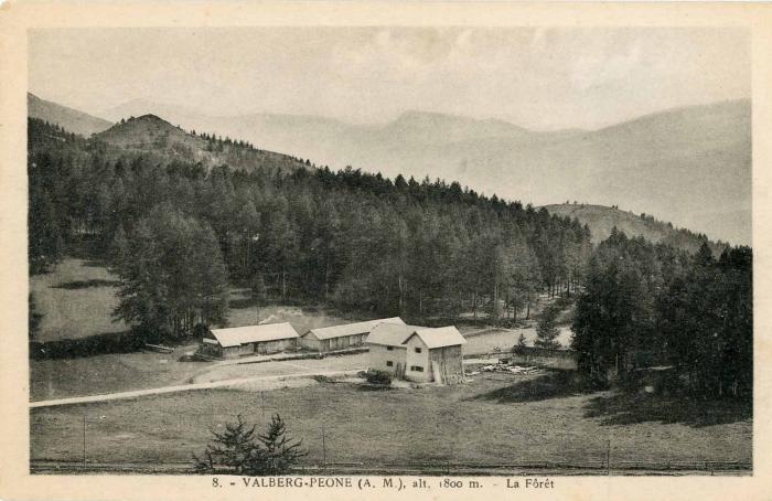 8. - VALBERG-PEONE (A. M.), alt. 1800 m. - La Forêt
